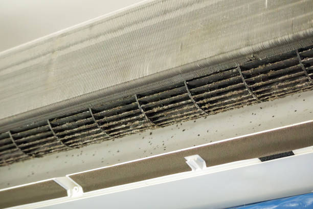 Best Duct Cleaning Specialists  in Schuylkill Haven, PA